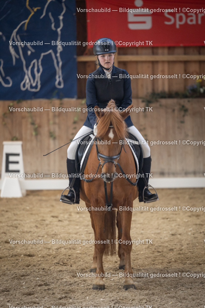 _D5A5690 | Emotionale Pferde- & People-Fotografie rund um Heidelberg, Leimen & Umgebung. Natürliche Fotos von Pferd, Mensch & Familie. Jetzt Termin sichern!