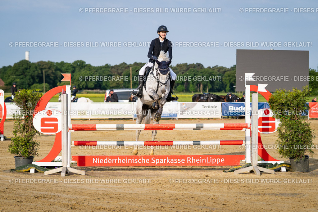 DSC02345 | Pferdegrafie