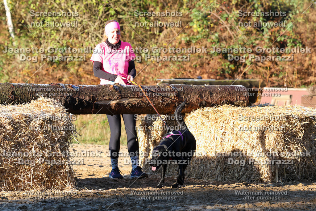 Dog Paparazzi - Strongdog 10-25-839 | Dog Paparazzi Jeanette Grottendiek Fotografie & Videografie - Realisiert mit Pictrs.com