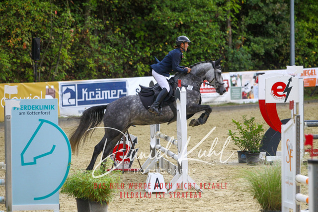 DKP40291 | Turniersportfotografie; Pferdefotografie; Dressurfotografie