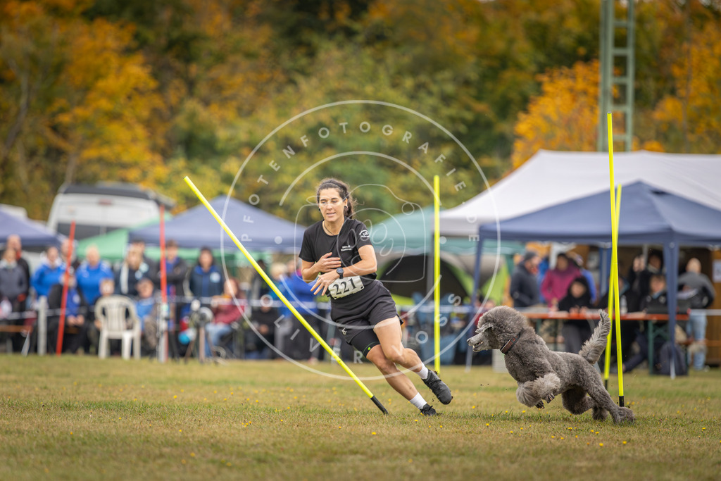 Pfotenfotografie_DV3A3741 | Hundefotografie, Tierfotograf, Pfotenfotografie, Fotoshooting Hund, Hunde Portrait, Hundesport, Hundeportraits, Heideshooting, Hunde, Sportfotograf, Hundefotograf, Turnierhundsport, THS,  - Realisiert mit Pictrs.com