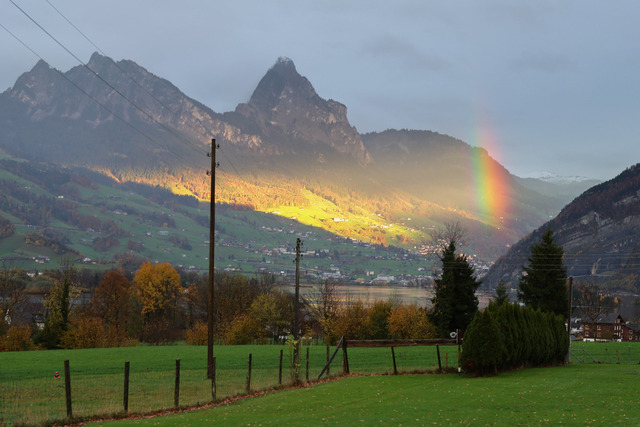 2025_Rally_Obedience_SM-281 | Ich fotografiere Hundeausstellungen, Sportanlässe, Zuchtstätten, Hundezucht, Hundeportrait, Lagotto - Realisiert mit Pictrs.com
