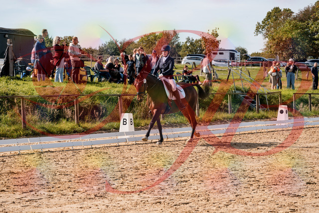 2026_10_03_Siefer-Hof_125624_Z63_63668566 | Professionelle Reitsport-, Turnier- und Eventfotografie von Robert Broda. Galerien mit ausgewählten und bearbeiteten Bildern direkt online ansehen und bestellen.