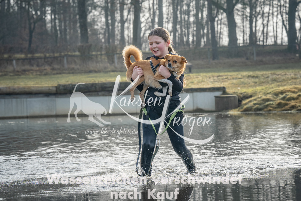 0936_ZZ92502 | kk-dogfotos