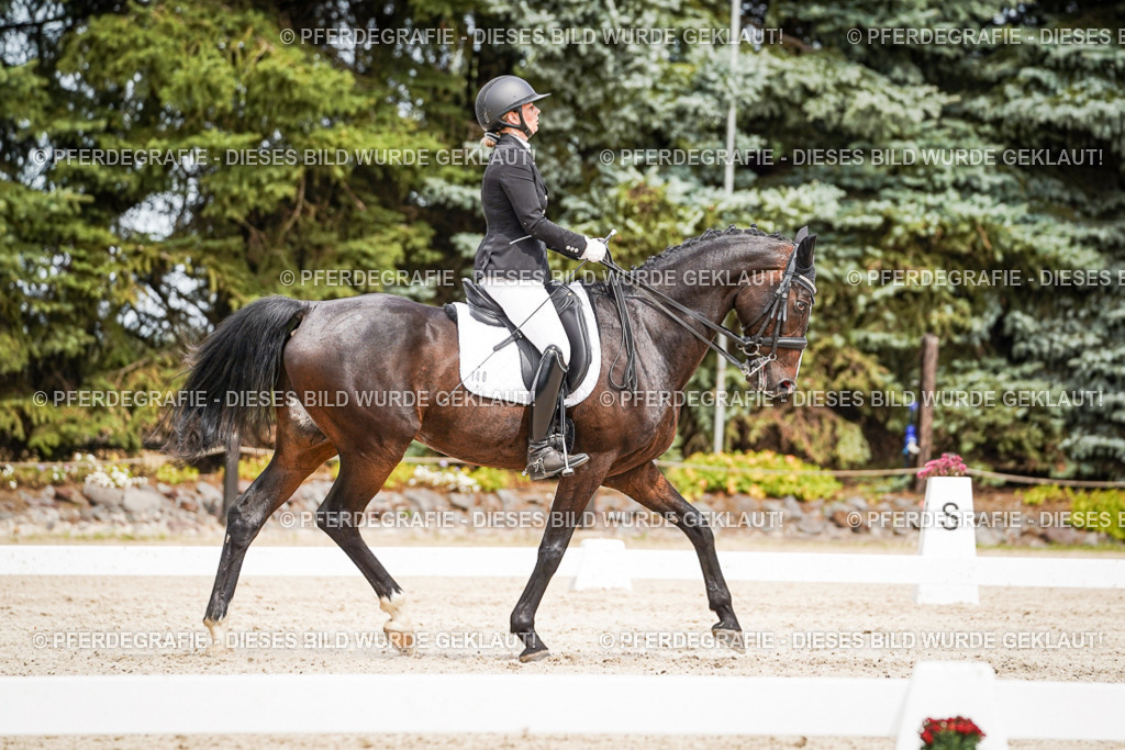 DSC05770 | Pferdegrafie