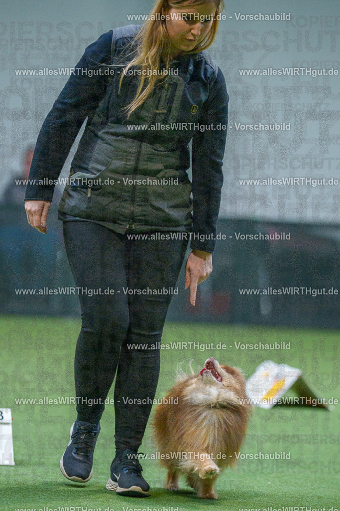 7R501799 | Professionelle Tierfotografie in Mönchengladbach von Daniel Wirth (allesWIRTHgut). Liebevolle & natürliche Bilder von Hunden & Katzen für unvergessliche Erinnerungen.