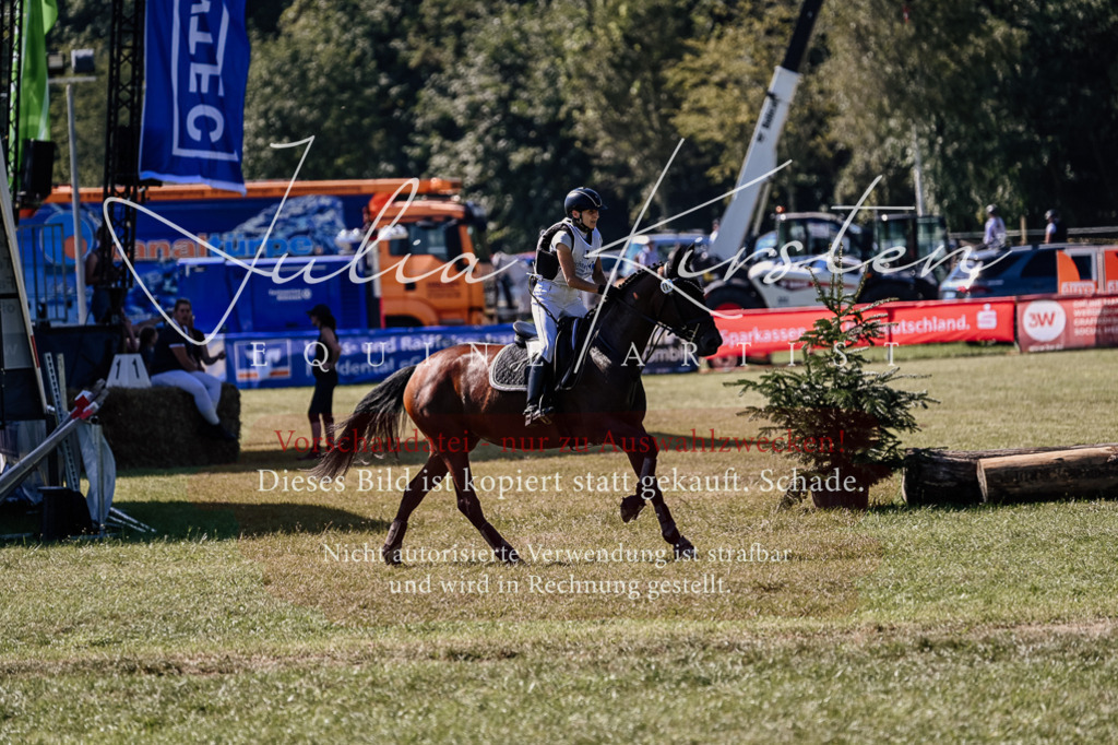DSC_1744 | Pferde- und Turnierfotografie in Westsachsen. Pferdeportraits, Auftragszeichnungen und intuitive Kunst.
