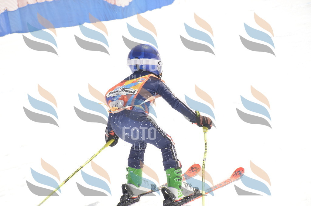 _ELE9390 | holidayphoto