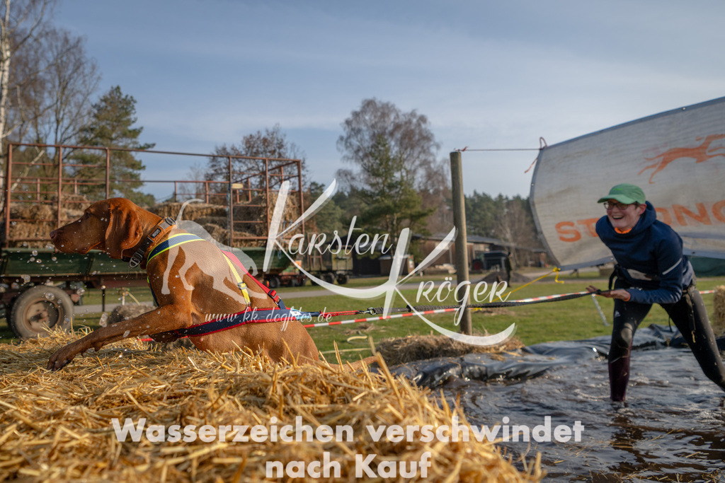 _ZZ91105 | kk-dogfotos