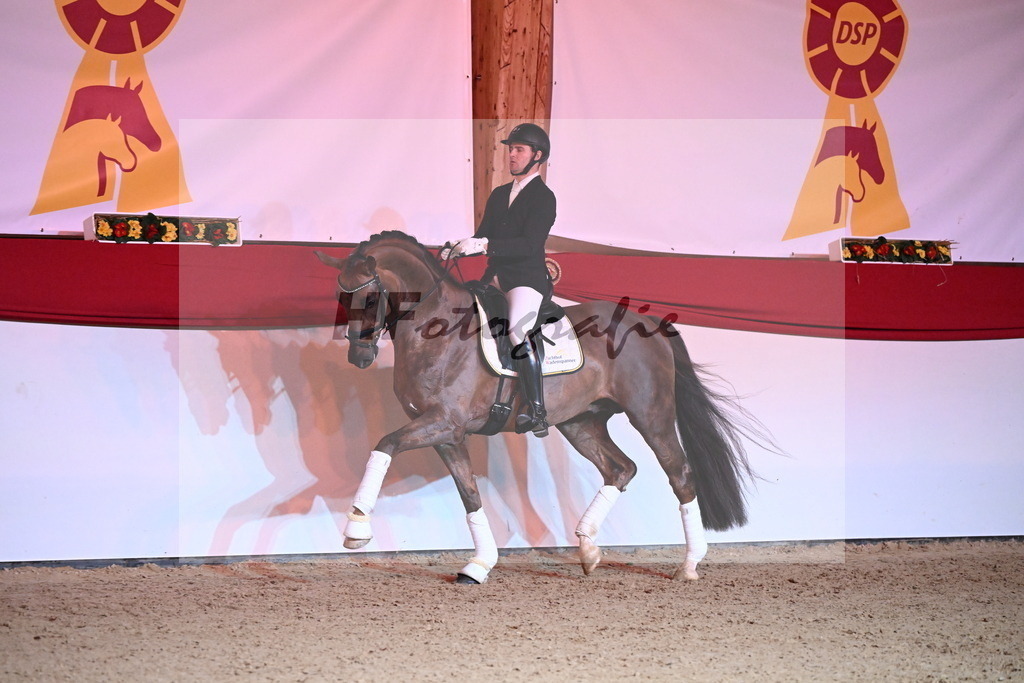 Feliciano_Wadenspanner_2254435 | hf-fotografie - Realisiert mit Pictrs.com