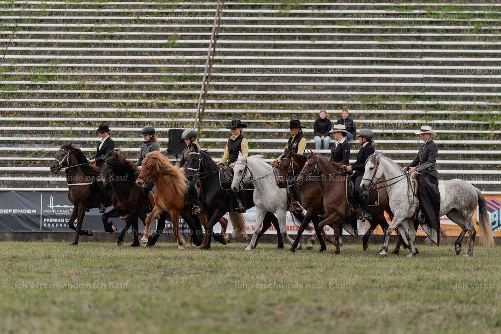 Showprogramm-477 | working equitationturnier fotograf videograf stoibphotography marixx film working equitation deutschland reitsport turnierfotografie eventfotografie equestrian events