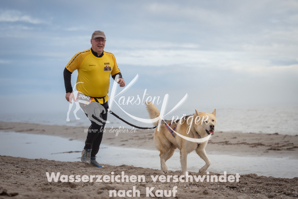 1147_ZZ91243 | kk-dogfotos