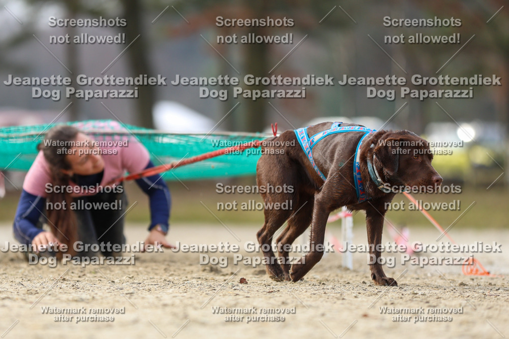 Dog Paparazzi - Strongdog North Mrz26-4811 | Dog Paparazzi Jeanette Grottendiek Fotografie & Videografie - Realisiert mit Pictrs.com