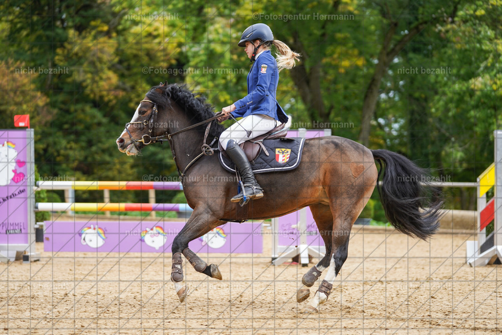 20221009-FAH08622 | Diessen am Ammersee, 2022, Dressur- und Springturnier, Reitsportbilder, Turnierfotografen Bayern, Pferdefotografen, Fotoagentur Herrmann, Turnierbilder