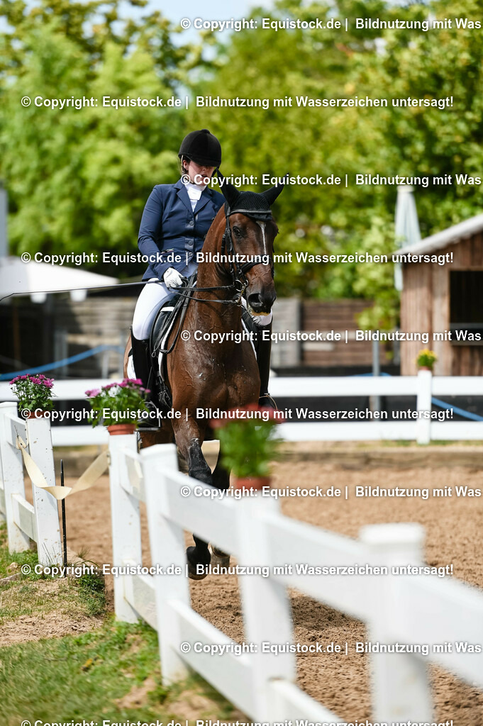 20230716_01_Dressurprüfung Kl.M_0180 | equistock