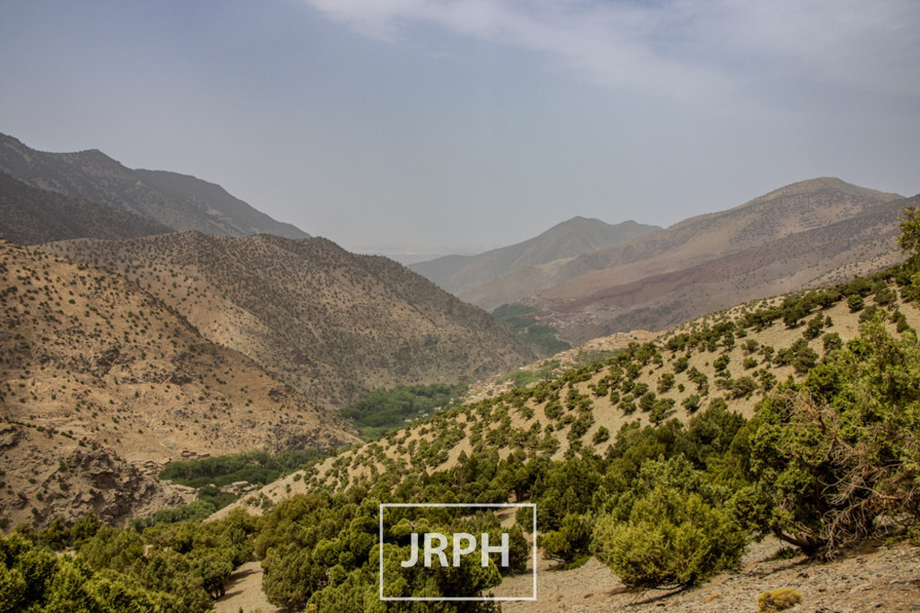 IMG_8251 | jrph - Realisiert mit Pictrs.com