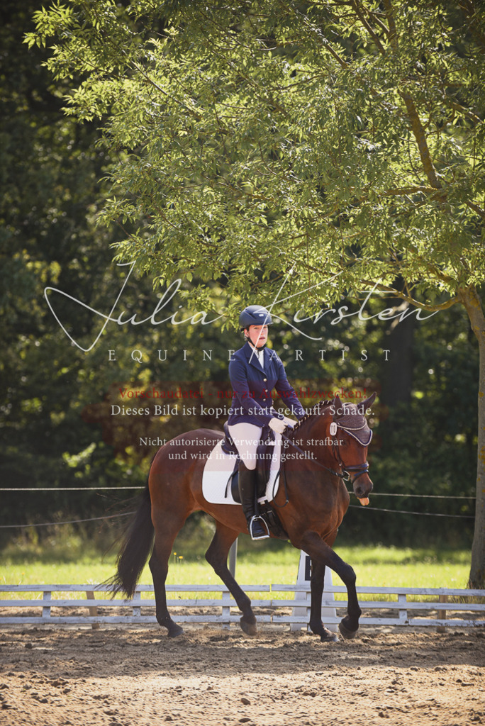 DSC_0331 | Pferde- und Turnierfotografie in Westsachsen. Pferdeportraits, Auftragszeichnungen und intuitive Kunst.
