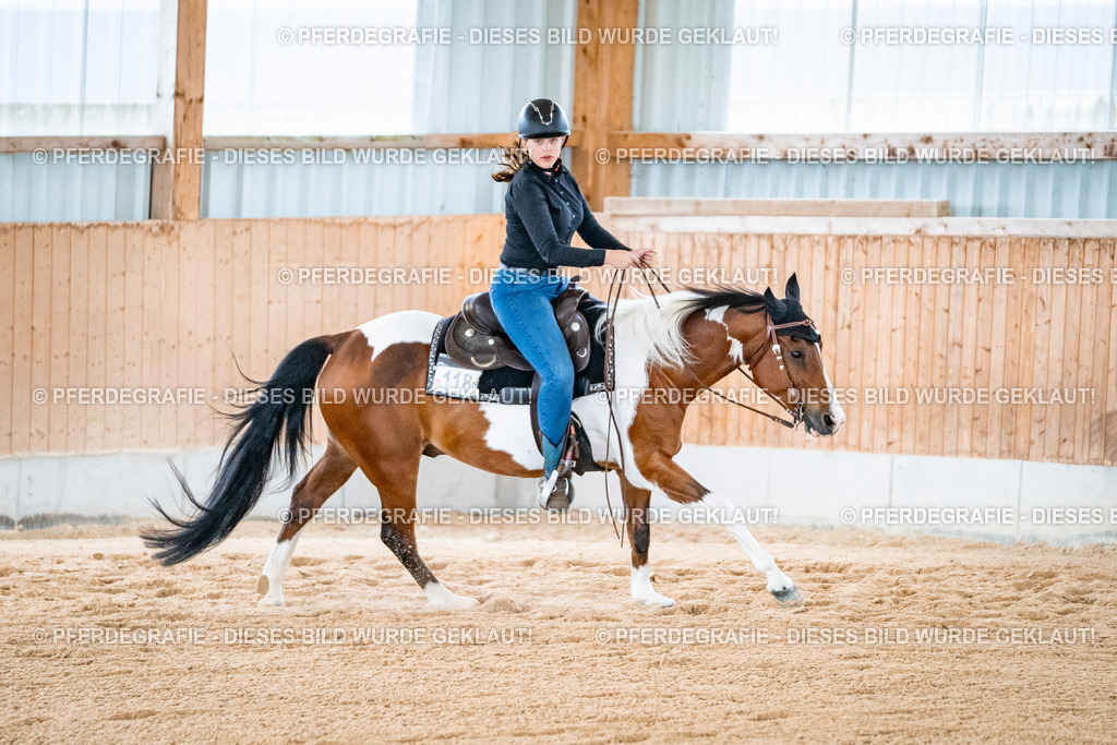 DSC09806 | Pferdegrafie