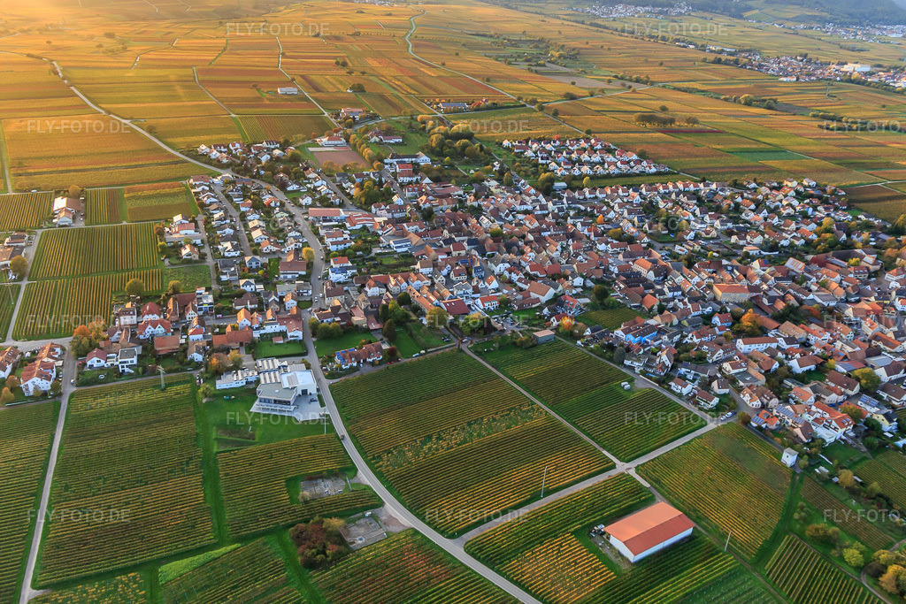Luftbild: Winzerdorfübersicht aus Osten umgeben von Weinbergen in Herbstfarben im Ortsteil Nußdorf in Landau im Bundesland Rheinland-Pfalz in Deutschland.Foto: IMG_135153.jpg vom 22.10.2022 durch Werner Riehm/FLY-FOTO.deAuflösung des Originals: 4639 x 3093 px