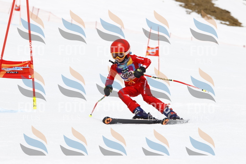 _U3G7224 | holidayphoto