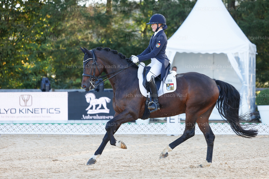 09_1-056-DRESSUR  S_  -StoibPH-5452 | working equitationturnier fotograf videograf stoibphotography marixx film working equitation deutschland reitsport turnierfotografie eventfotografie equestrian events