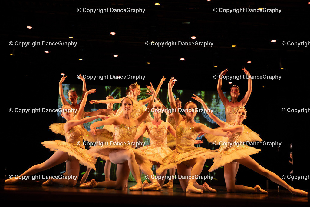 GPHY5313 | DanceGraphy - Realisiert mit Pictrs.com