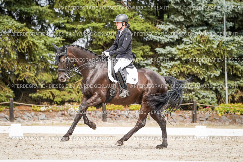 DSC06841 | Pferdegrafie