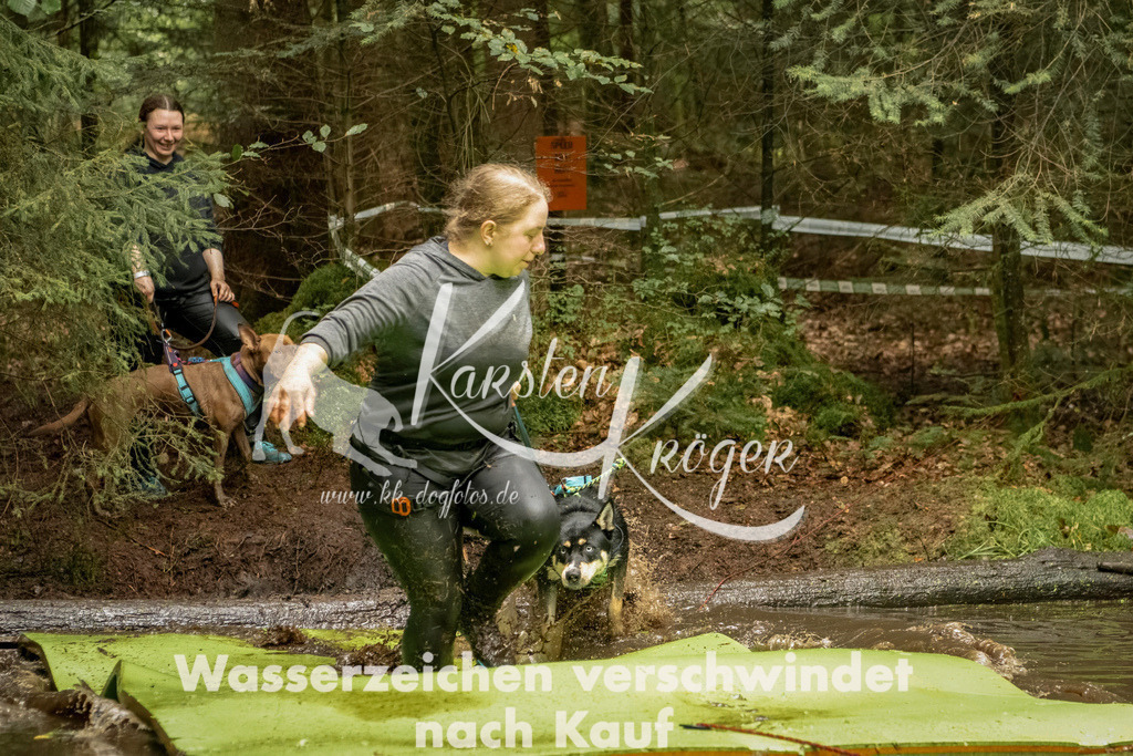 1219_ZZ93897-Bearbeitet | kk-dogfotos
