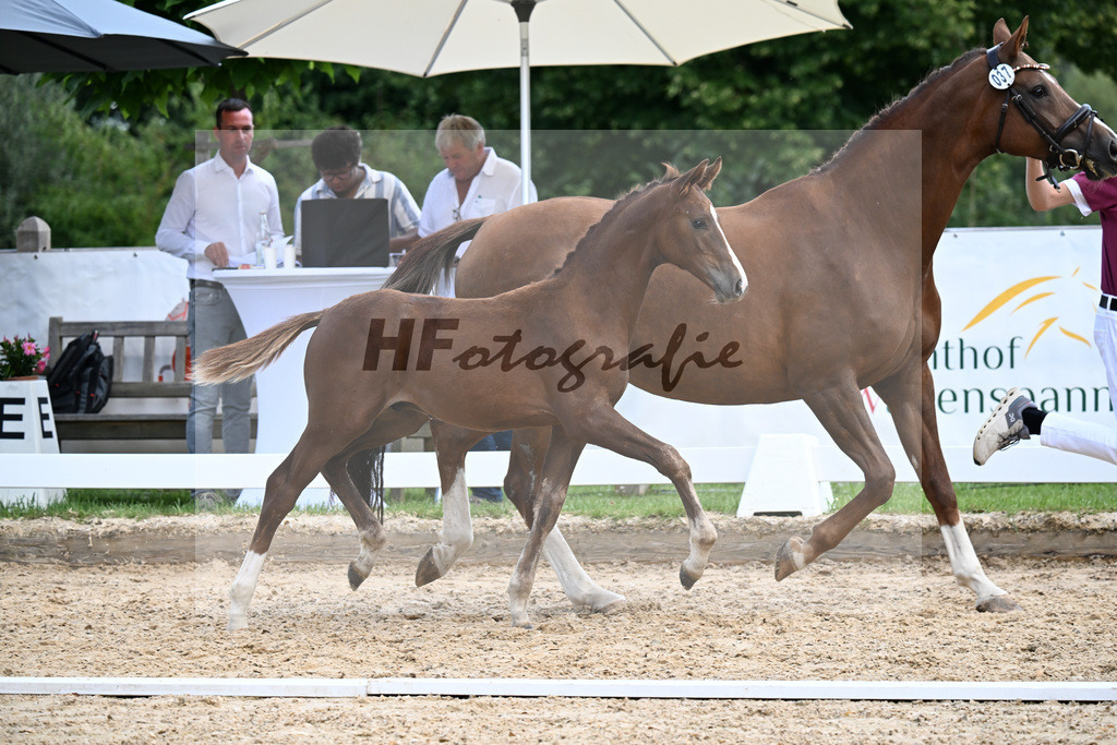 Kat-Nr. 37 Va Bene x Sancisco_HF_Saracino_29251047 | hf-fotografie - Realizzato con Pictrs.com