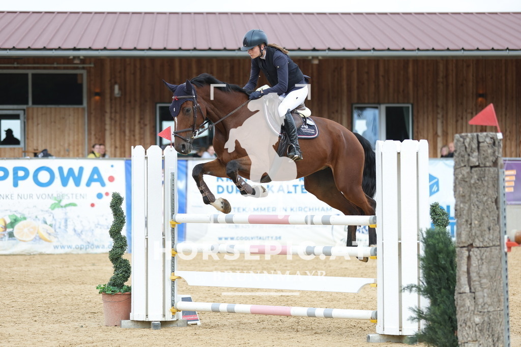 0P6A6862 | Willkommen bei Brunnmayr - Design & Fotografie – Ihrem Spezialisten für Reitturniere und Pferdeveranstaltungen in Oberösterreich, Salzburg und Bayern! Seit über 17 Jahren sind wir leidenschaftlich dabei.
