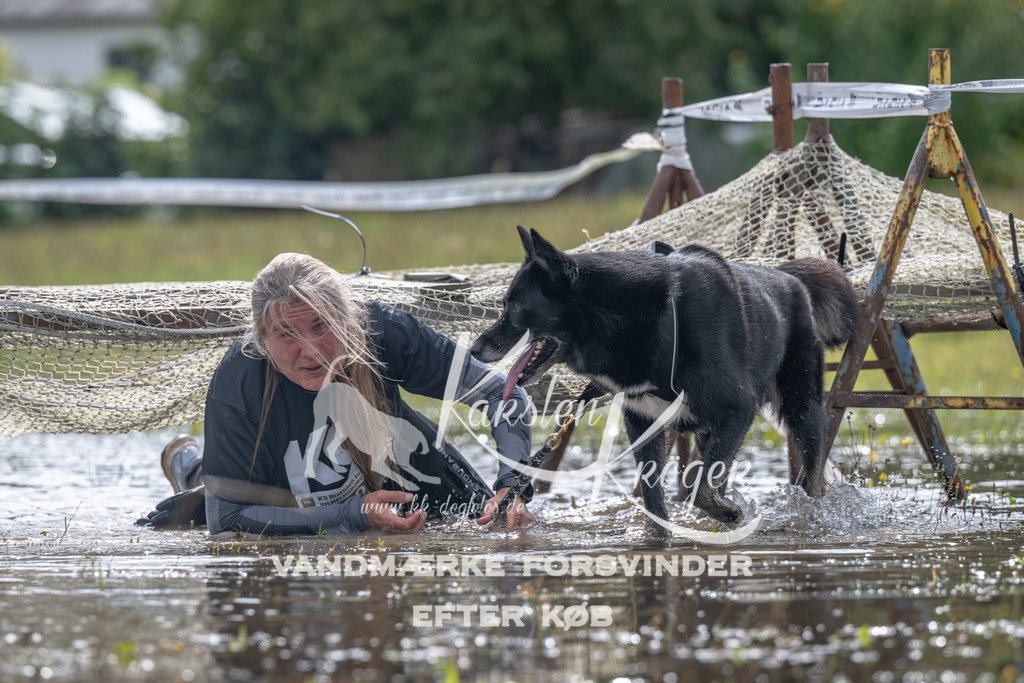 1331_ZZ90028 | kk-dogfotos