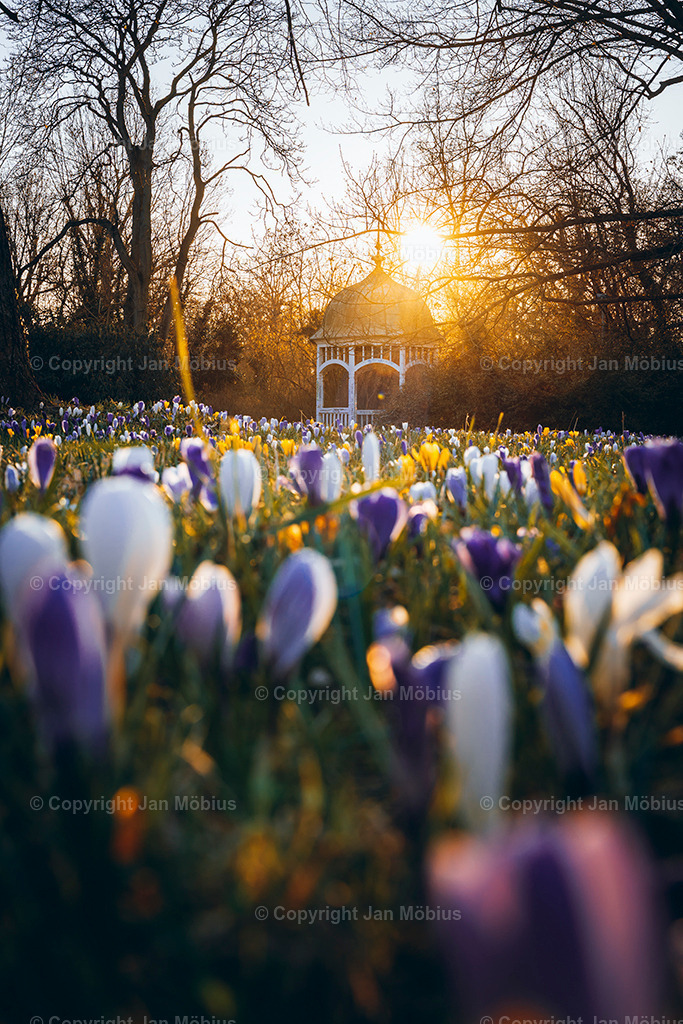 _DSC0428 | Leipzig Wandbilder Drucke Prints Leinwand Stadtmotive Leipzig Fotosdruck Kunstdrucke Bilder Leipzig Stadtansichten Acrylglasbilder Leipzig Wanddeko Fine Art Prints Wandbilder Büro Leipzig Bilder Praxis Zuhause Bilderdruck Poster Posterlounge Kunstdrucke - Realisiert mit Pictrs.com