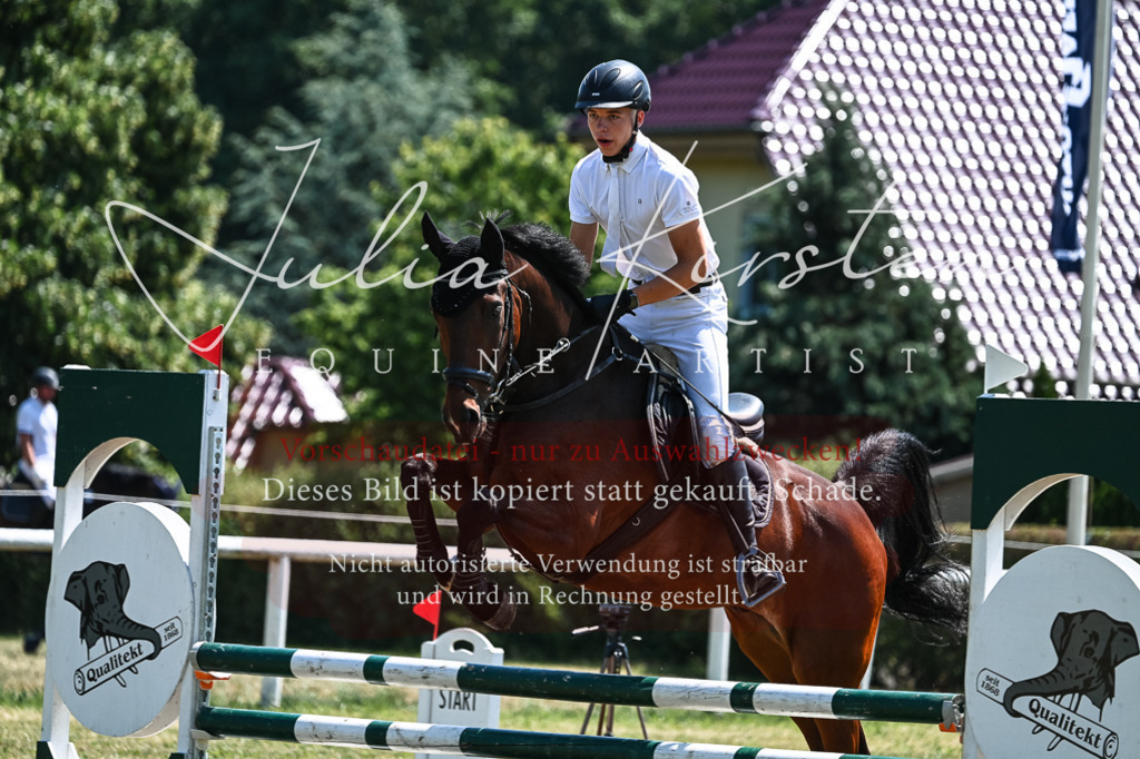 DSC_0366 | Pferde- und Turnierfotografie in Westsachsen. Pferdeportraits, Auftragszeichnungen und intuitive Kunst.