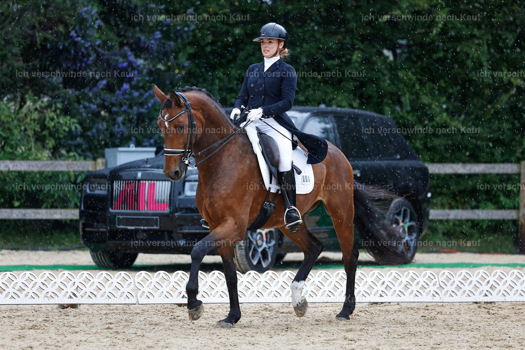 8_1-001-Klasse S_  -StoibPH-3958 | working equitationturnier fotograf videograf stoibphotography marixx film working equitation deutschland reitsport turnierfotografie eventfotografie equestrian events