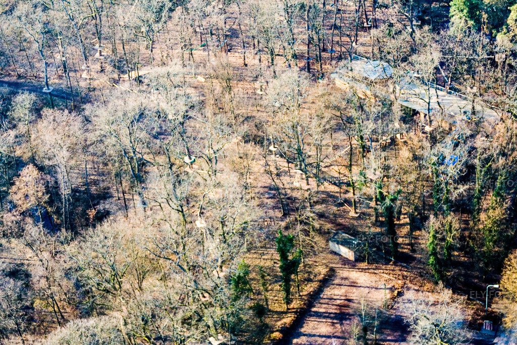Luftbild: Kletterpark Fun Forest GmbH AbenteuerPark Kandel in Kandel im Bundesland Rheinland-Pfalz in Deutschland. Foto: IMG_5485.jpg vom 21.02.2007 durch Werner Riehm/FLY-FOTO.de