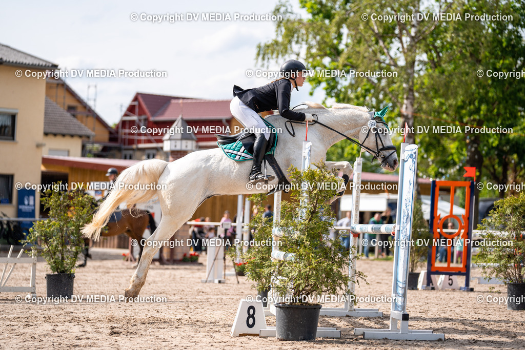 Eppelheim Tag 2-652 | dv-media-shop - Realisiert mit Pictrs.com