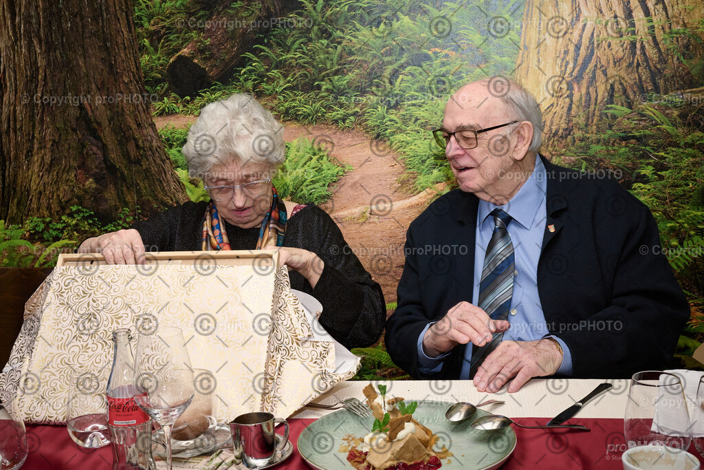 042_2026_60-Hochzeitstag-Wenzel_NZ9_6752 | proPHOTO - Realisiert mit Pictrs.com