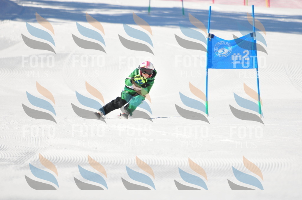 C2792 | holidayphoto