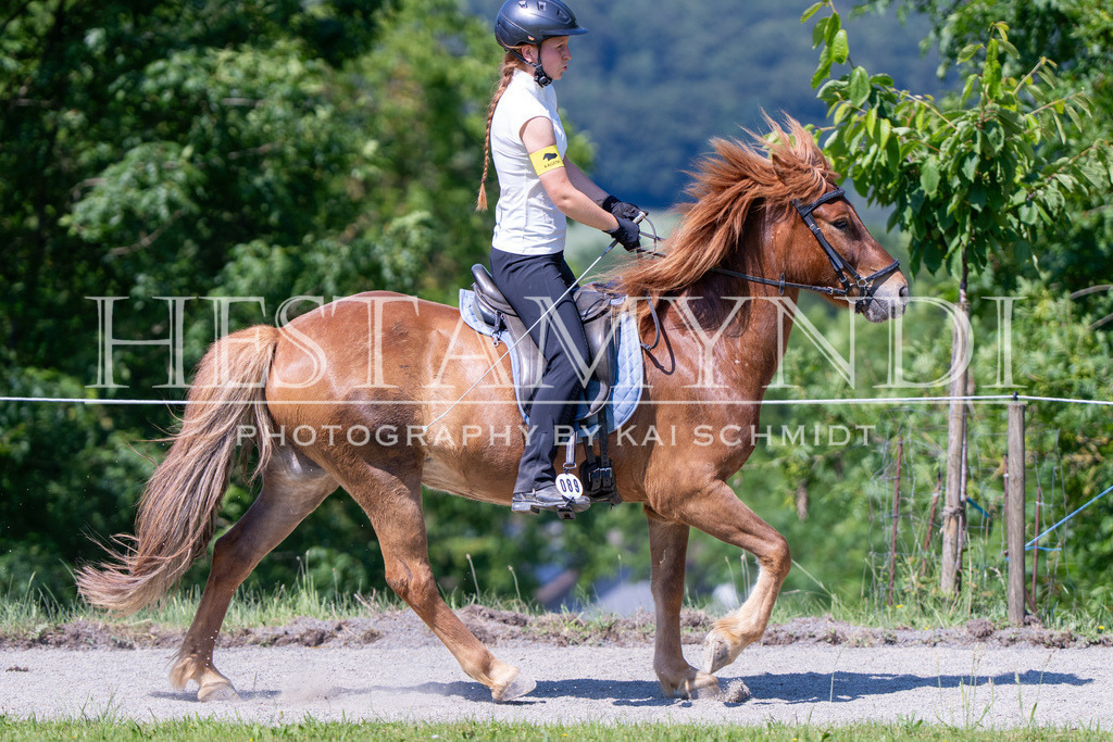 KAI05824 | Ihr sucht einen Fotografen für eure nächste OSI? Ich begleite auch euer Turnier für Islandpferde fotografisch.  - Realisiert mit Pictrs.com