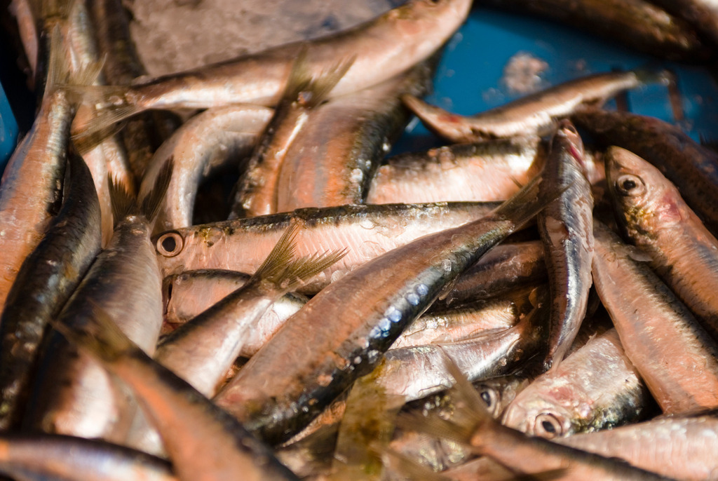 Stand mit Fischverkauf | Saumur, Frankreich - June 21, 2008: Stand mit Fischverkauf. - Realisiert mit Pictrs.com
