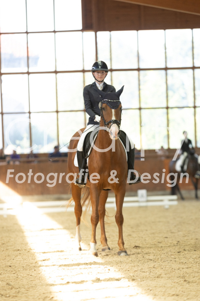 IMG_8808 | Creatify Fotografie