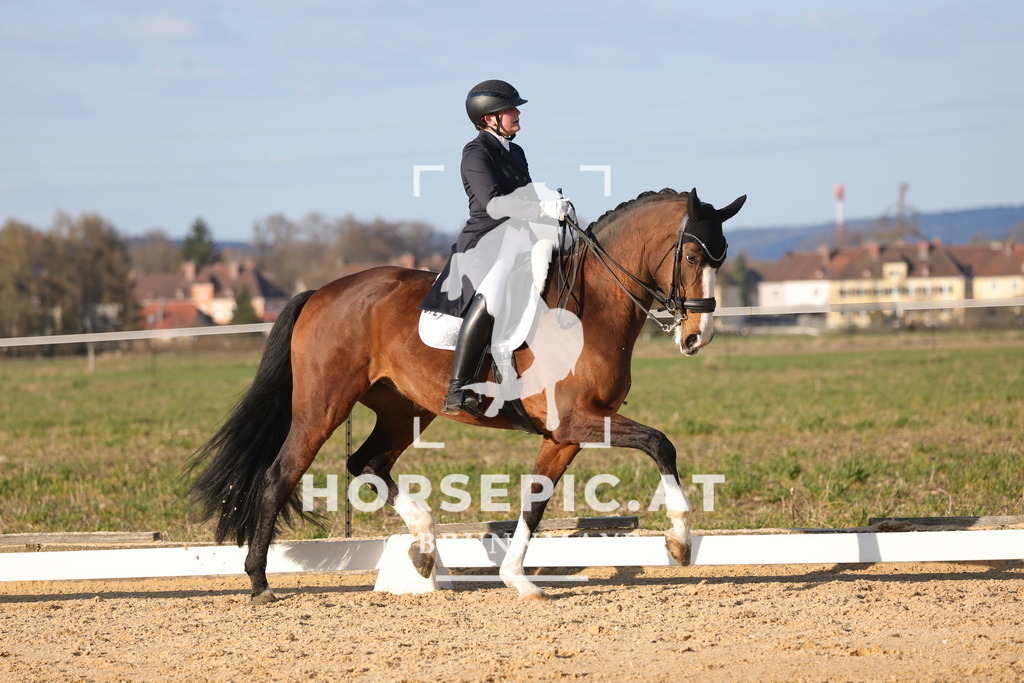 0P6A8111 | Willkommen bei Brunnmayr - Design & Fotografie – Ihrem Spezialisten für Reitturniere und Pferdeveranstaltungen in Oberösterreich, Salzburg und Bayern! Seit über 17 Jahren sind wir leidenschaftlich dabei.