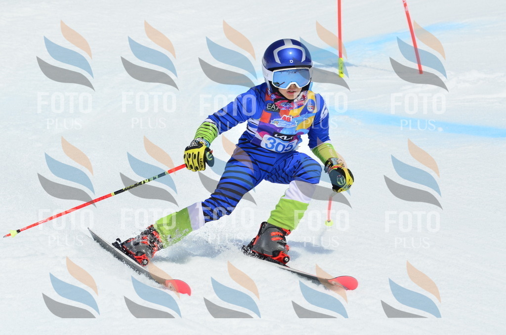 _ELE2263 | holidayphoto