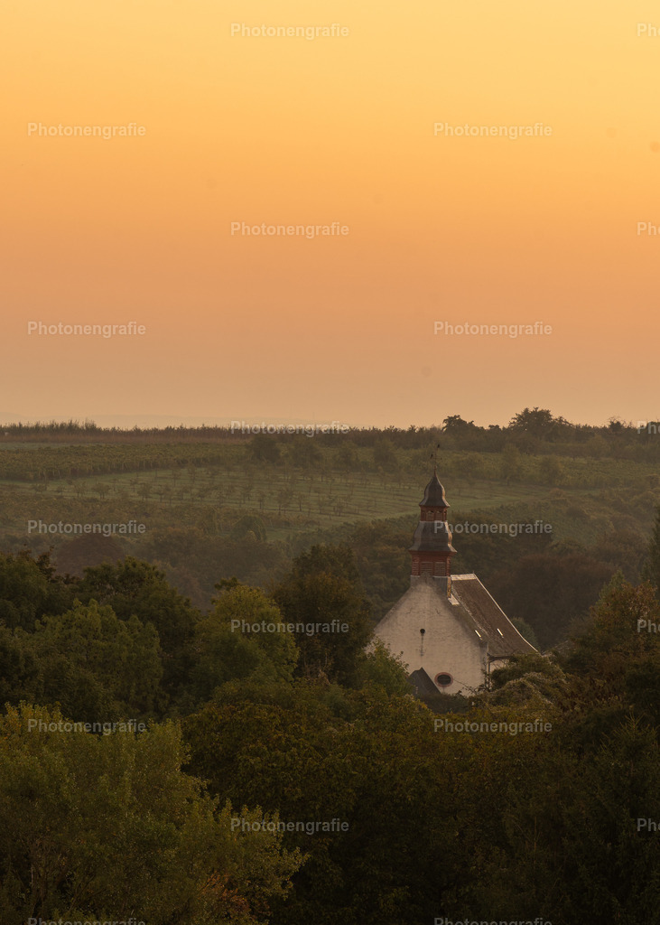 Ingelheim-16 | Photonengrafie´s Shop - Realisiert mit Pictrs.com
