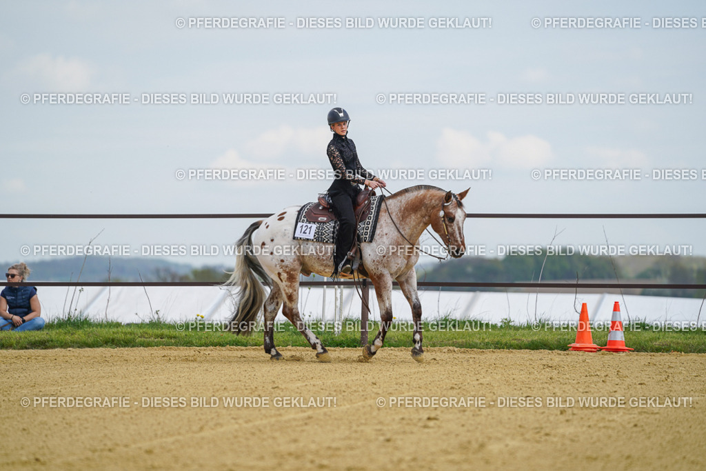 DSC05678 | Pferdegrafie