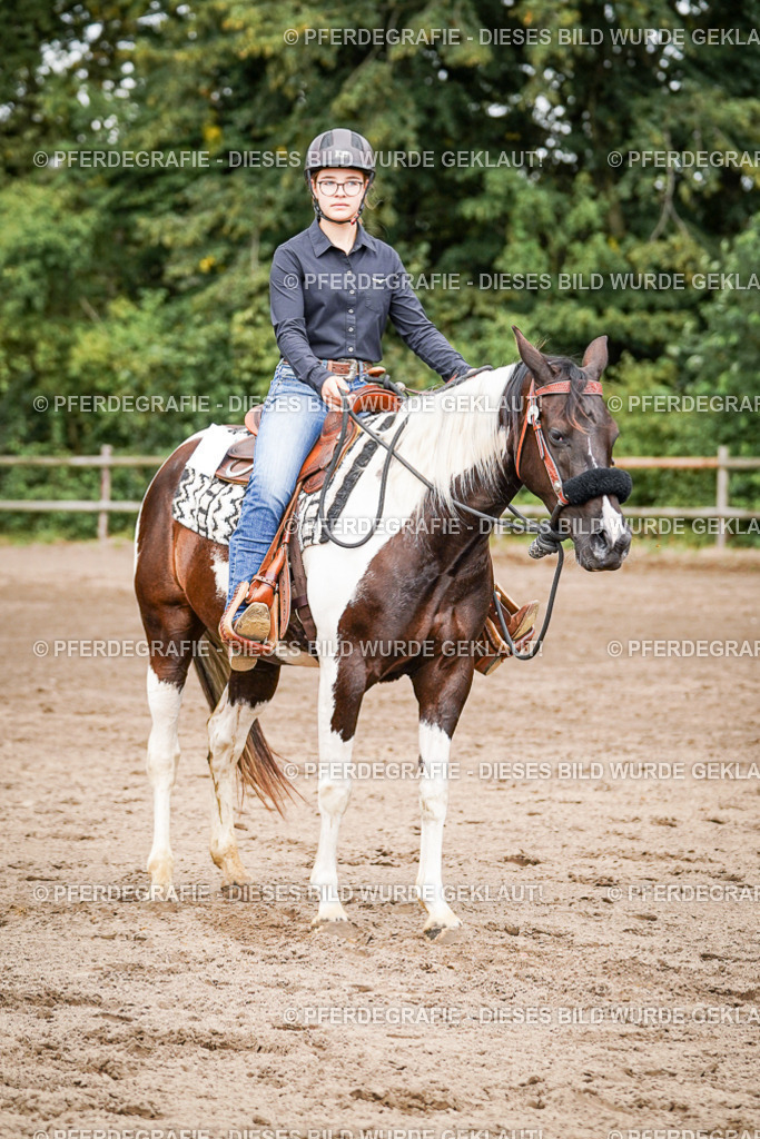 DSC07835 | Pferdegrafie