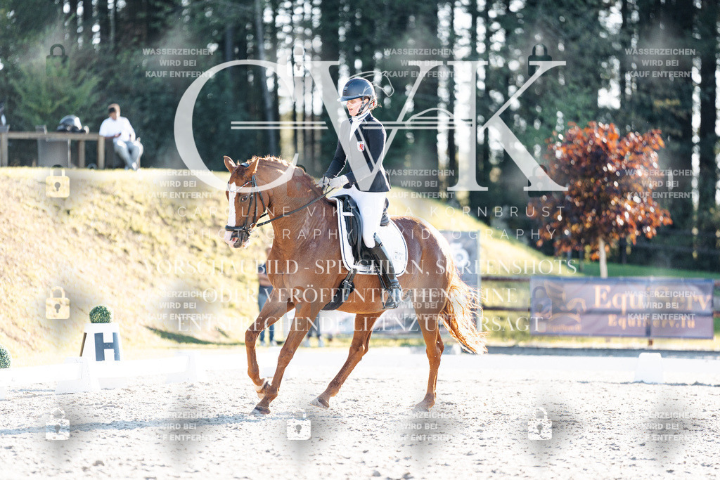 CK906999 | Turnierfotografie Pferdefotografie Trier Rheinland-Pfalz Pferdesport Reitsport Tierfotografie Sportfotografie Pferdevideo Pferdevideografie Equestrianvideography equestrianphotography  - Realisiert mit Pictrs.com