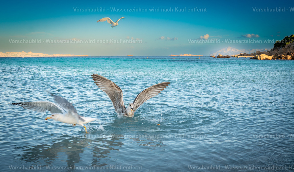 DSC09262 | marcuslinek