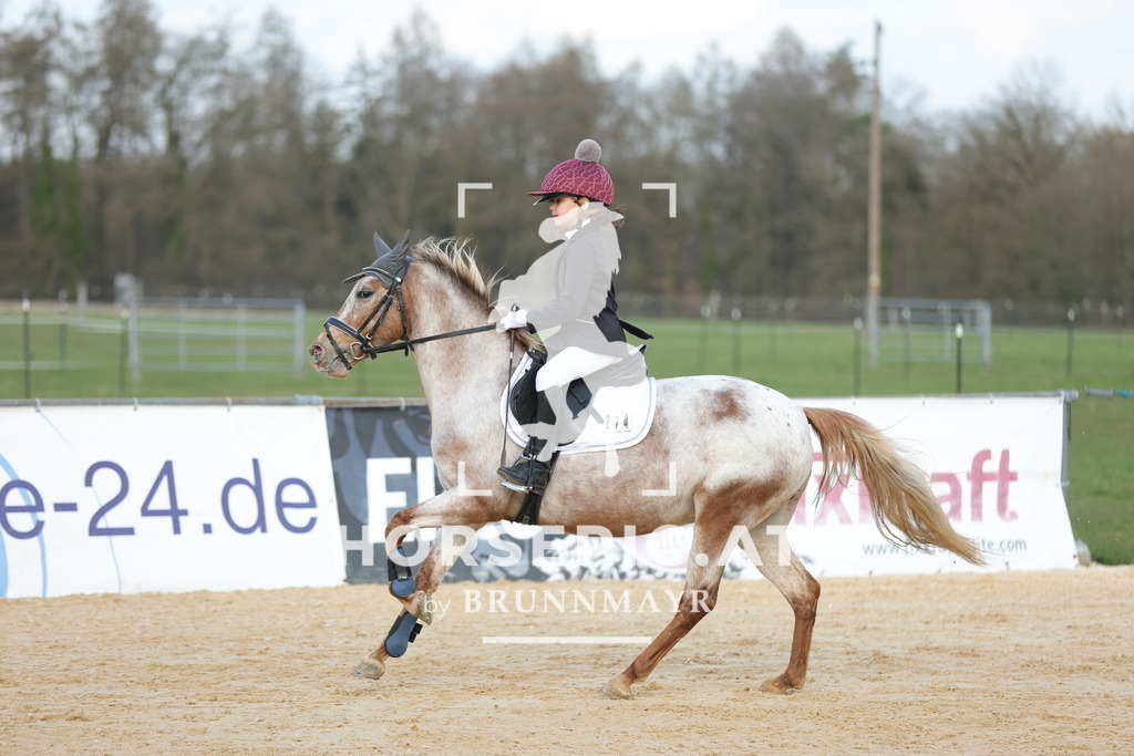 0P6A8931 | Willkommen bei Brunnmayr - Design & Fotografie – Ihrem Spezialisten für Reitturniere und Pferdeveranstaltungen in Oberösterreich, Salzburg und Bayern! Seit über 17 Jahren sind wir leidenschaftlich dabei.