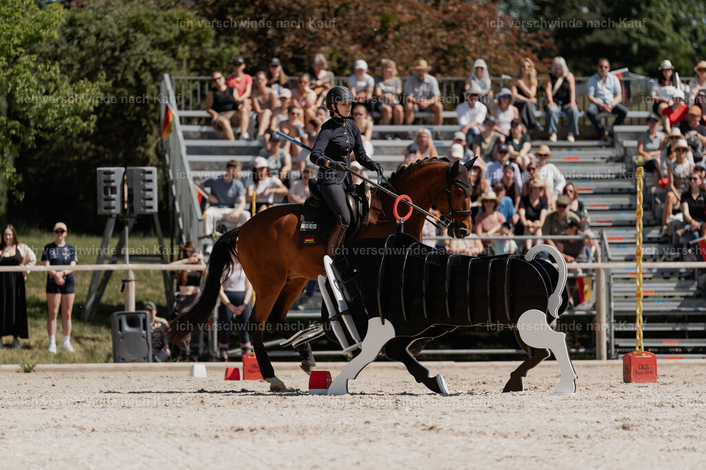 _DSC5458 | Pferd International München 2025